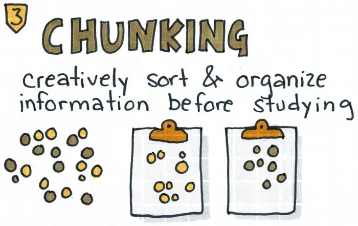 creatively sort and organize information before studying.