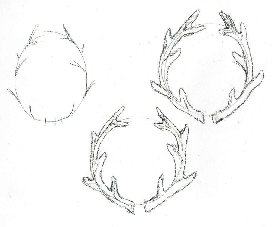 steps to drawing antlers.