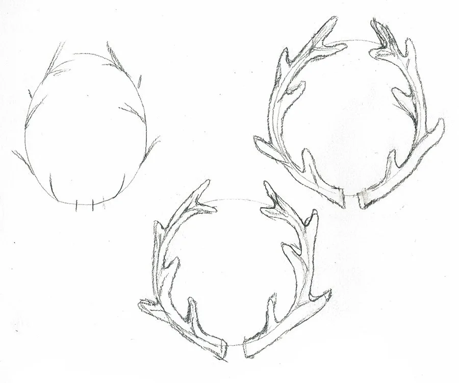 steps to drawing antlers.