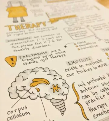a brain drawn on a page.
