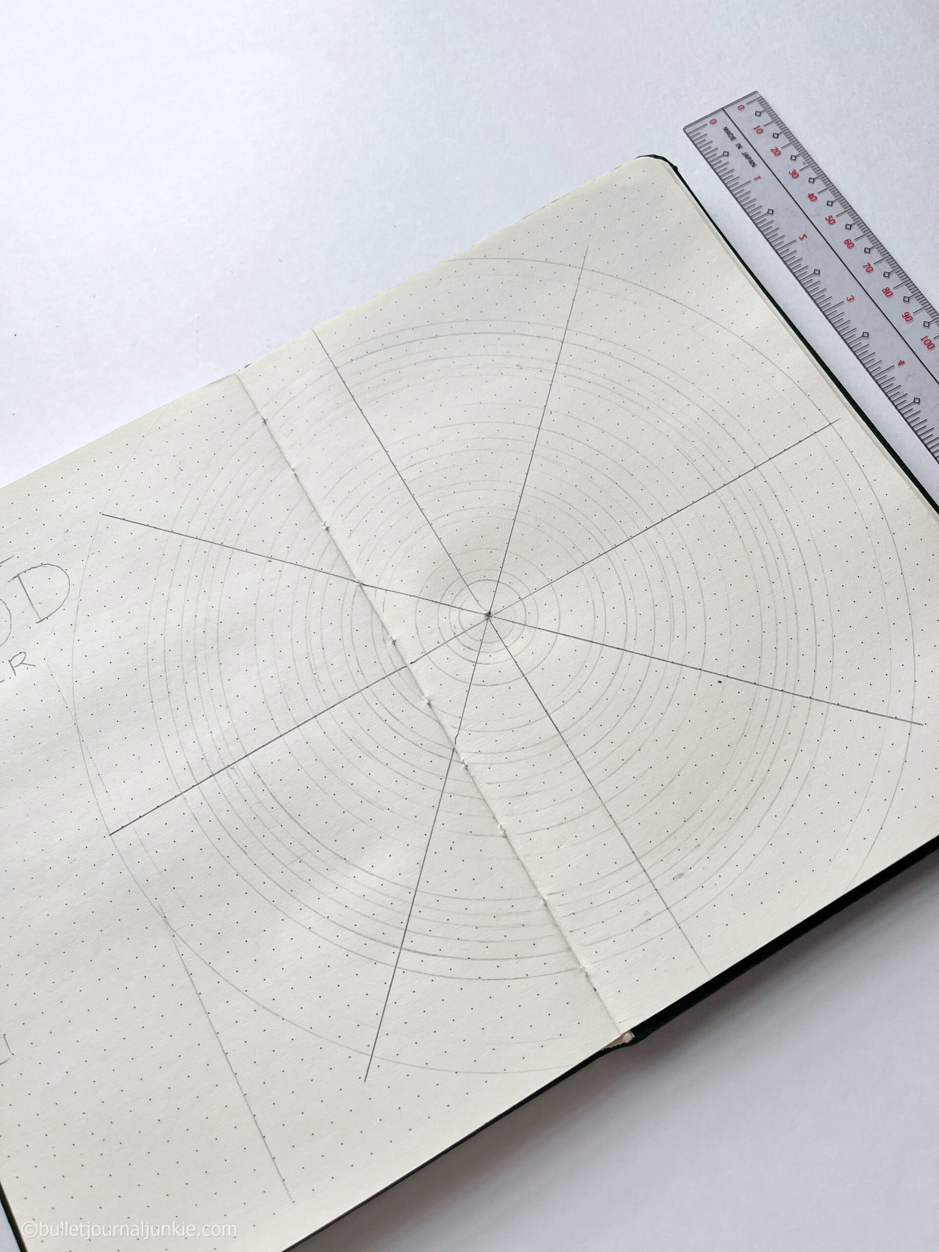 A circle grid in a bullet journal centerfold